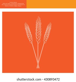 Ears of Wheat, Barley or Rye vector visual graphic icons, ideal for bread packaging, beer labels etc.