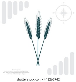 Ears of Wheat, Barley or Rye vector visual graphic icons, ideal for bread packaging, beer labels etc.