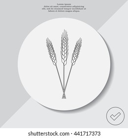 Ears of Wheat, Barley or Rye vector visual graphic icons, ideal for bread packaging, beer labels etc.