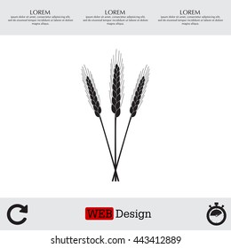 Ears of Wheat, Barley or Rye vector visual graphic icons, ideal for bread packaging, beer labels etc.