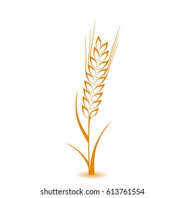Ears of Wheat, Barley or Rye vector visual graphic icons