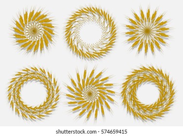 Ears of wheat, barley or rye are woven into one bundle. Vector Illustration, icon, symbol Compact, cereals harvested a new crop of. Illustration for your projects.
