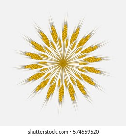 Ears of wheat, barley or rye are woven into one bundle. Vector Illustration, icon, symbol Compact, cereals harvested a new crop of. Illustration for your projects.