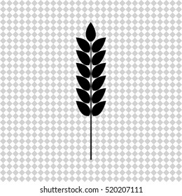 Ears of wheat -  black vector icon