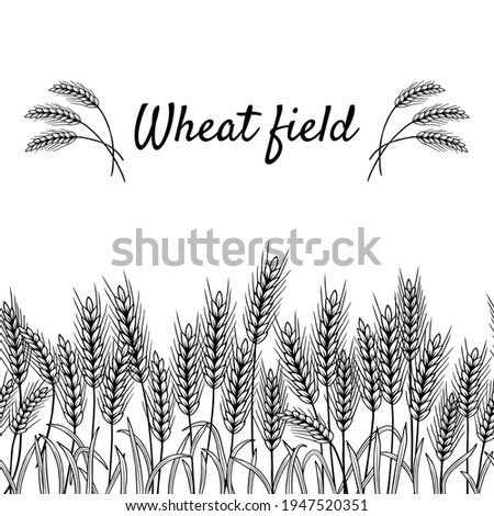 Ears of wheat black and white horizontal seamless pattern vector illustration