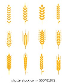 Ears of wheat bread symbols. Organic and bread, agriculture seed, plant and food, natural eat.