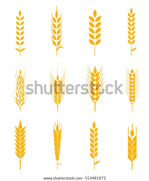 Ears Wheat Bread Symbols Organic Bread Stock Vector (Royalty Free ...