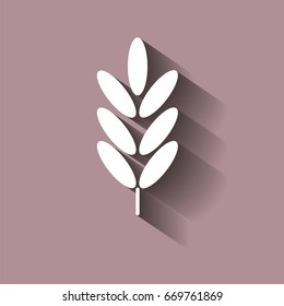 Ears of wheat, cereal. Ear of oats. rye ears. Vector icon with shadow