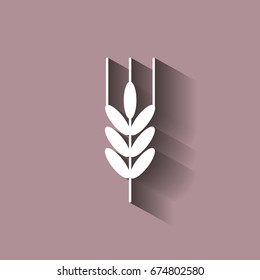 Ears of wheat, cereal. Ear of oats. rye ears. Icon with shadow design