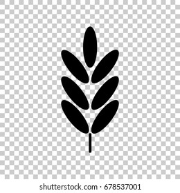 Ears of wheat, cereal. Ear of oats. rye ears.  Vector icon illustration
