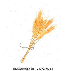 Ears of wheat composition on a white background