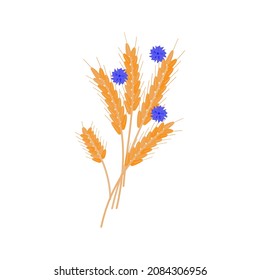 ears of wheat and cornflowers flat vector illustration 