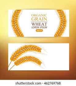 Ears of wheat. Design Banner Template. Vector illustration.
