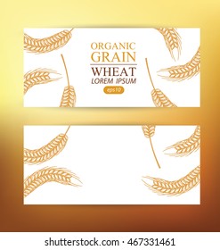 Ears of wheat. Design Banner Template. Vector illustration.