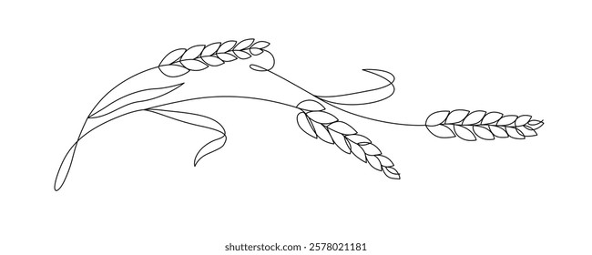 Ears of wheat drawn with continuous line in minimalism, abstract, bread, cereals, carbohydrates, healthy eating, symbol of prosperity and wealth, one line, editable vector contour