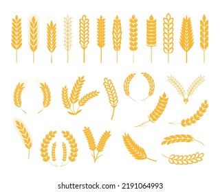 Ears of wheat, ear of rye, spikelet set vector. Cereals plant icons in flat style for cafe, product package. Oats and barley symbols, bio products logo. 