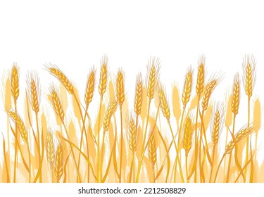 Orejas de trigo. Campo agrícola. Cosecha de cereales de cebada, espiga, grano, maíz, agricultura, agricultura orgánica, símbolo alimentario saludable. Diseño de panadería. ilustración vectorial realista de acuarela dibujada a mano