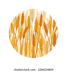 Orejas de trigo. Campo agrícola. Logo del círculo alrededor del trigo amarillo. Cosecha de cereales de cebada, espiga, grano, maíz, agricultura, agricultura orgánica, símbolo alimentario saludable. Ilustración vectorial realista.