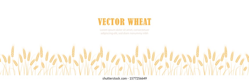 Ears of wheat in field horizontal border seamless pattern with the place for text. Vector illustration