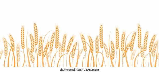 Ears of wheat in field horizontal border seamless pattern, vector illustration