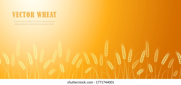 Ears of wheat in field horizontal border with the place for text. Vector illustration