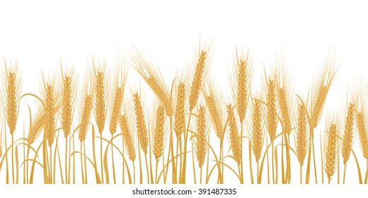 Ears of wheat in field horizontal border seamless pattern. Vector stock illustration