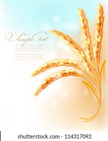 Ears of wheat in front of blue sky. Vector illustration.