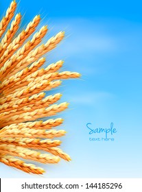 Ears of wheat in front of blue sky. Vector illustration.