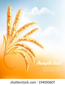 Ears of wheat in front of blue sky. Vector illustration.