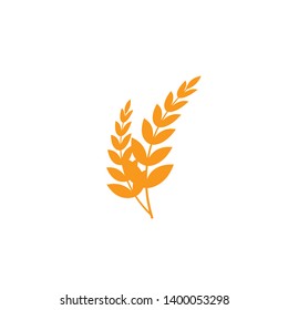 Ears of wheat in front of white background.