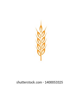 Ears of wheat in front of white background.