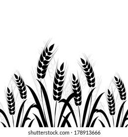 Ears of wheat in front of white background. Vector 
