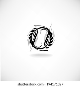 Ears of wheat in front of white background. Vector