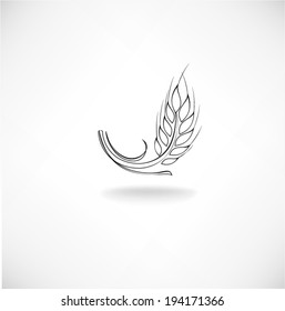 Ears of wheat in front of white background. Vector