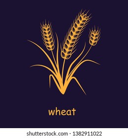 Ears of wheat golden badges and logo. For the Corporate Identity of the Natural Product Company or Bakery. Organic wheat bread agriculture. Flat design. on a dark background