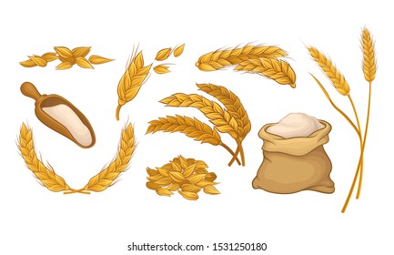 Ears Of Wheat. Grain Culture Vector Illustration