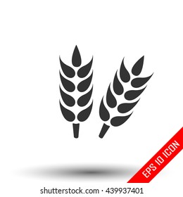 Ears of wheat. Growing ears icon. Simple flat logo of wheat ears on white background. Vector illustration.