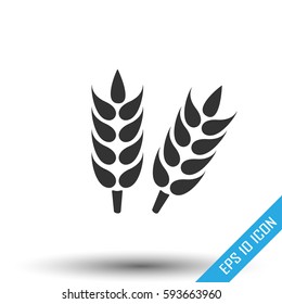 Ears of wheat. Growing ears icon. Simple flat logo of wheat ears on white background. Vector illustration.