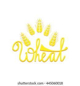 Ears of Wheat hand draw illustration. Wheat lettering. Can use for bread packaging, beer labels, packages of flour etc. Vector illustration