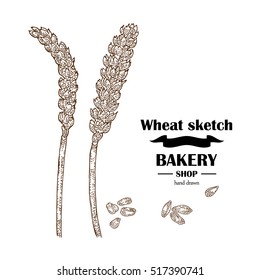 Ears of wheat. Hand drawn cereal set. Bakery logo design. Vector illustration