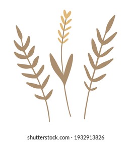 Ears of Wheat. Hand drawn wheat ears, oat, rye or barley branch. Harvest clipart. Cottage core. Vector design element, icon, symbol.