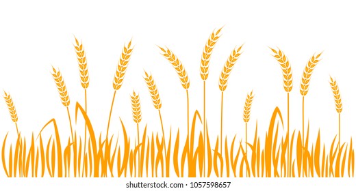 Ears of wheat horizontal border seamless pattern Vector illustration