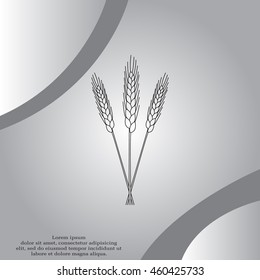 Ears of Wheat icon