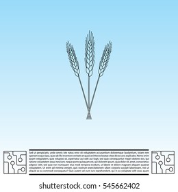 Ears of Wheat icon