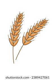 Ears of wheat icon doodle style. Vector illustration of a grown grain crop on a white background.