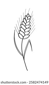 Ears of wheat icon doodle style. Vector illustration of a grown grain crop on a white background.