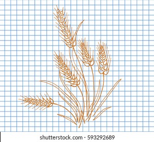 Ears of Wheat icon. Wheat ear on copybook background. vector illustration.
