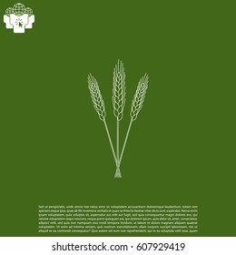 Ears of Wheat icon. vector illustration