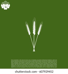 Ears of Wheat icon. vector illustration