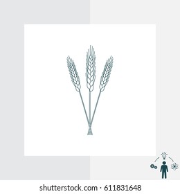 Ears of Wheat icon. vector illustration